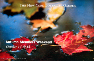New York Botanical Gardens card.