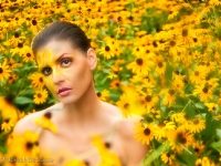 Portrait of a woman in a garden amongst Black Eyed Susans