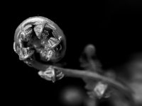 JDS_100525-1519