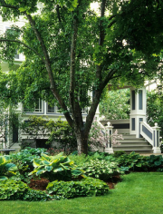 Iowa City shade garden