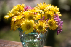 Zinna flower arrangement