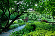 Conservatory Garden, South Garden in June, Central Park