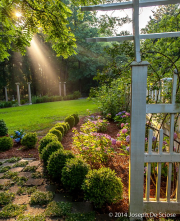 Garden Vignette