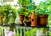 Garden Vignette