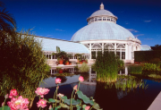 Tropical pond and Conservatory at the New York Botanical Garden