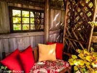 Buffalo, NY backyard garden outdoor living