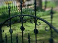 Jasminehill, Iron Gate