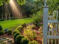 Garden Vignette