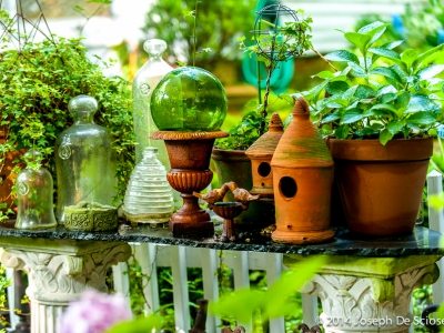 Garden Vignette