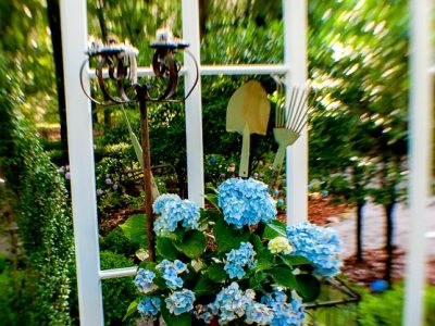 Garden Vignette