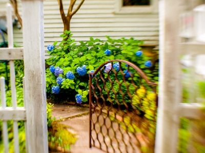 Garden Vignette