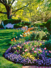 Perennial and annual garden