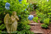 Hydrangea Garden with Angel