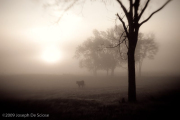 North Alabama, October morning