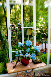 Hydrangeas, Hudson Garden, Douglasville, Georgia