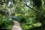 St Francisville, Louisiana, Photograph Joseph De Sciose,