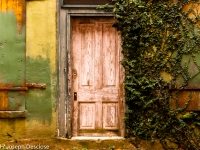 An old wooden door on an old building in an alley way.