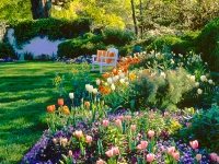 Perennial and annual garden