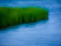 Marsh grass, North Carolina
