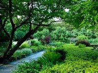 Conservatory Garden, South Garden in June, Central Park