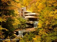 Falling Water, Frank Lloyd Wright