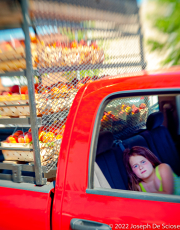 The Farmer's Daughter, Pepper Place, Farmers Market, Birmingham, Alabama