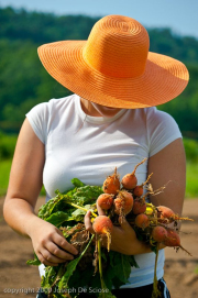 Woman holding freshly harvested  beets
