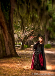 Among the Live Oaks, Selma, Alabama