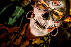 Day of the Dead, celebration, party, street festival