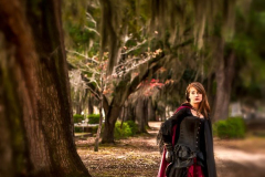 Among the Live Oaks, Selma, Alabama