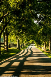 Chauvin Sculpture Garden, Louisiana