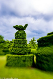 Longwood Gardens, topiary