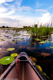 Tensaw Delta