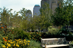 Photo, Twin Towers from Wagner Park, New York City, historical Photo, Twin Towers from Wagner Park, New York City, historical