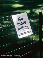 Statement of grief after 9-11, Union Square