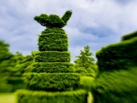 Longwood Gardens, topiary