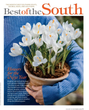 January 2010, Southern Living Magazine, crocus