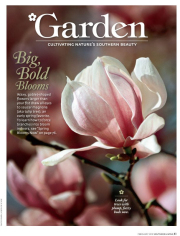 February 2010, Southern Living Magazine, Magnolia flower