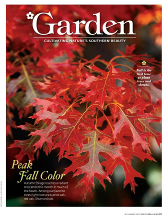 Southern Living Magazine, November 2009, Red Oak leaves
