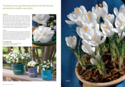 Winter Whites, Southern Living Magazine, January 2008