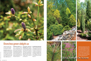 Horticulture Magazine story on the Cox Arboretum for the March-April 2012 issue photograph, Joseph De Sciose