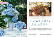 Southern Living Magazine, March 2007