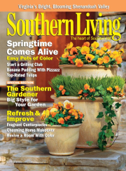 Cover Southern Living Magazine, March 2005, pansies, containers, photograph, Joseph De Sciose