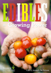 Sales brochure for Storey Publishing, Photograph by Joseph De Sciose