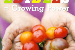 Sales brochure for Storey Publishing, Photograph by Joseph De Sciose