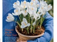January 2010, Southern Living Magazine, crocus