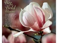 February 2010, Southern Living Magazine, Magnolia flower