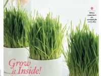 January 2010, Southern Living Magazine, wheat grass, Photograph Joseph De Sciose
