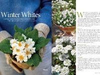 Winter Whites, Southern Living Magazine, January 2008