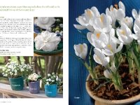 Winter Whites, Southern Living Magazine, January 2008